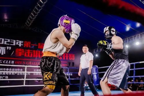 拳力出擊 廣州拳擊俱樂部公開賽火熱舉行，展現賽事組織新高度