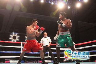 2015世界拳擊聯賽三亞落幕 中國龍不敵墨西哥勇士，拳擊賽事組織迎發展契機